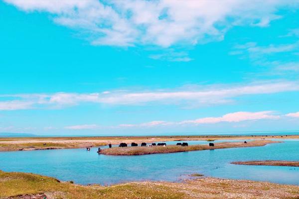青海湖有什么好玩的景点推荐一下一日游
